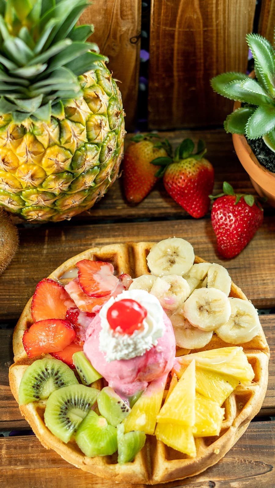 Waffle Tropical