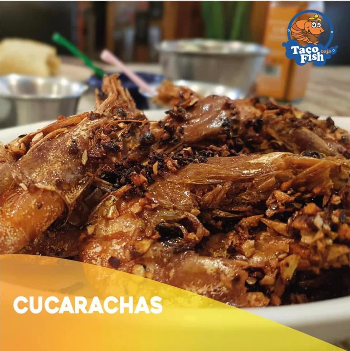 Cucarachas