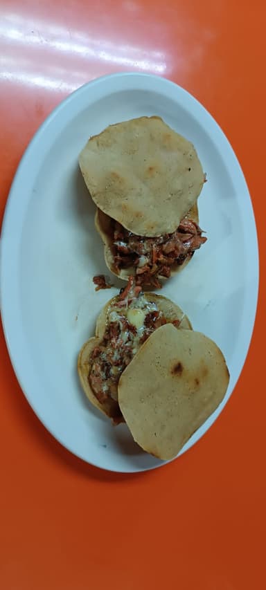 Volcán con Pastor