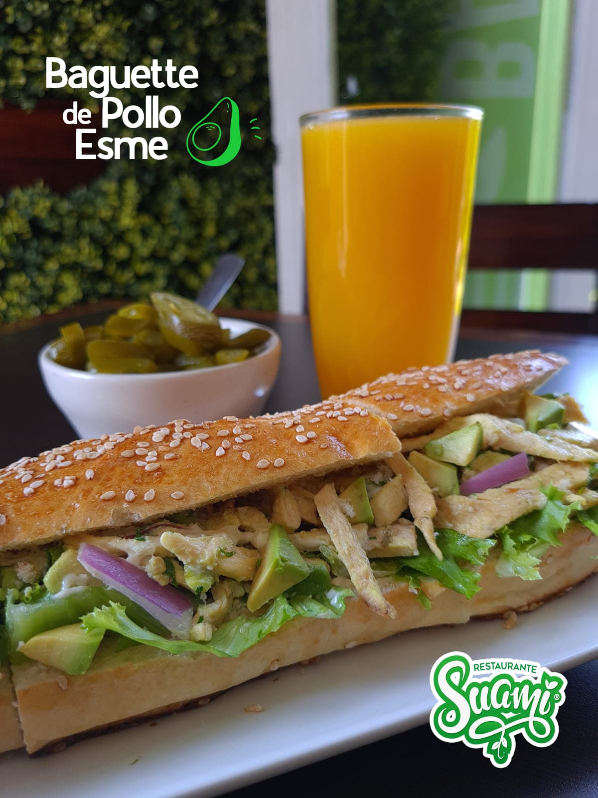 POLLO