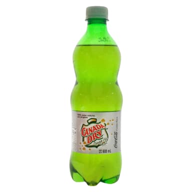 Ginger Ale Light