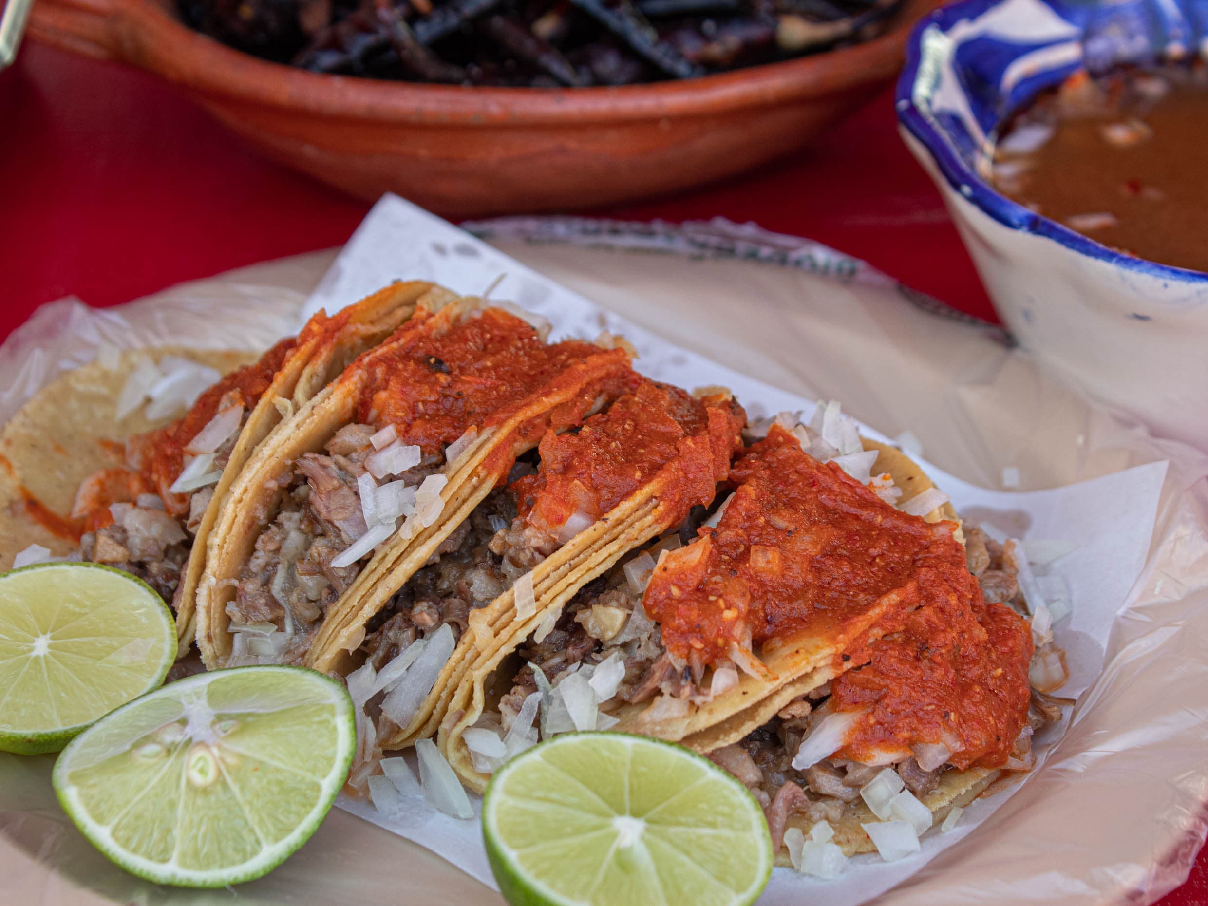 Órden de 5 Tacos Surtida