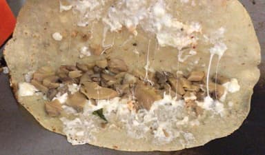 Quesadilla de Champiñones