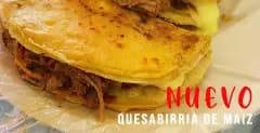 Quesabirria individual