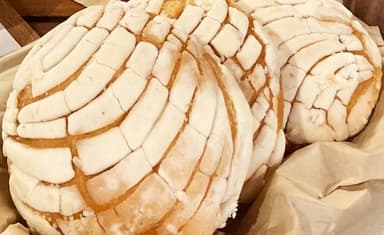 Pan Dulce (Conchas)
