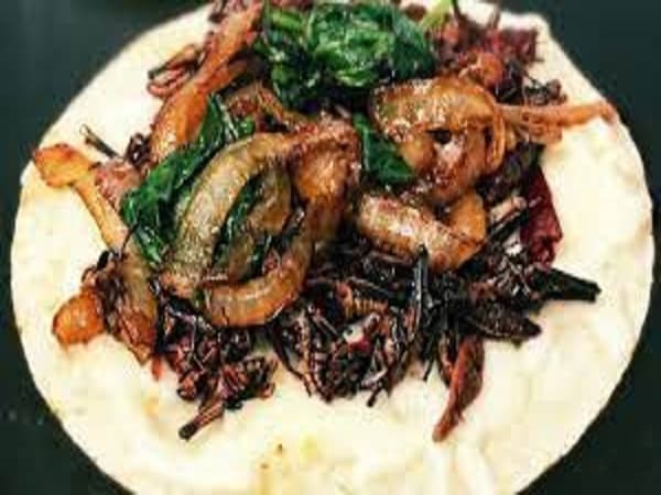 Teppanyaki Mixto