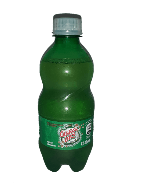 Ginger Ale 350 Ml.