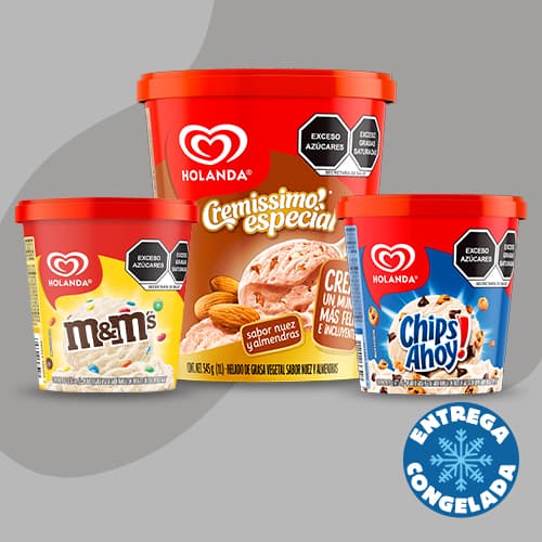 900ml Especial y 2 Michas Holanda