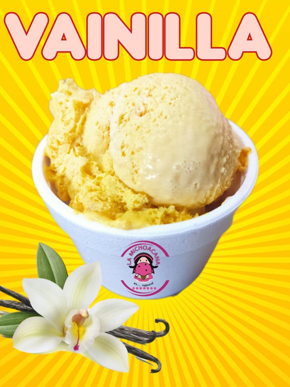 Helado de Vainilla 1/2 Litro