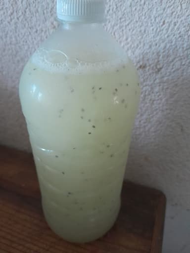 LITRO DE AGUA DE LIMON