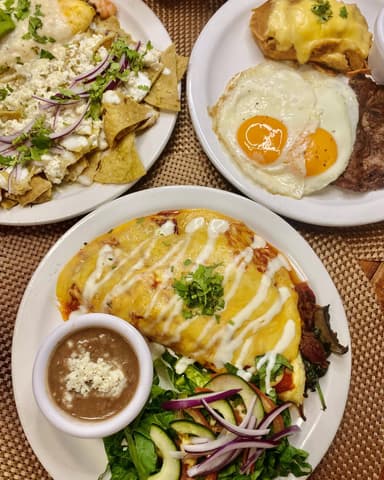 Omelette Light