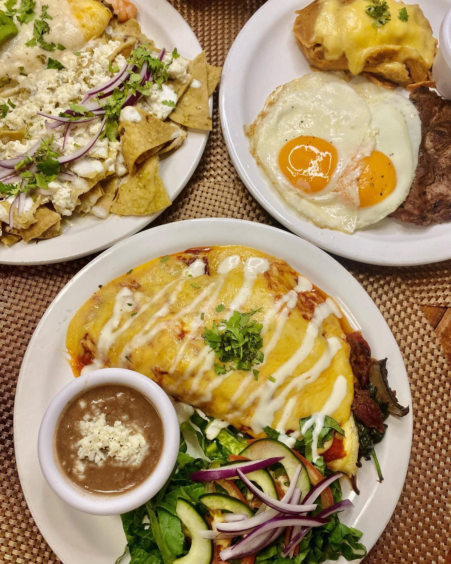Omelette Light