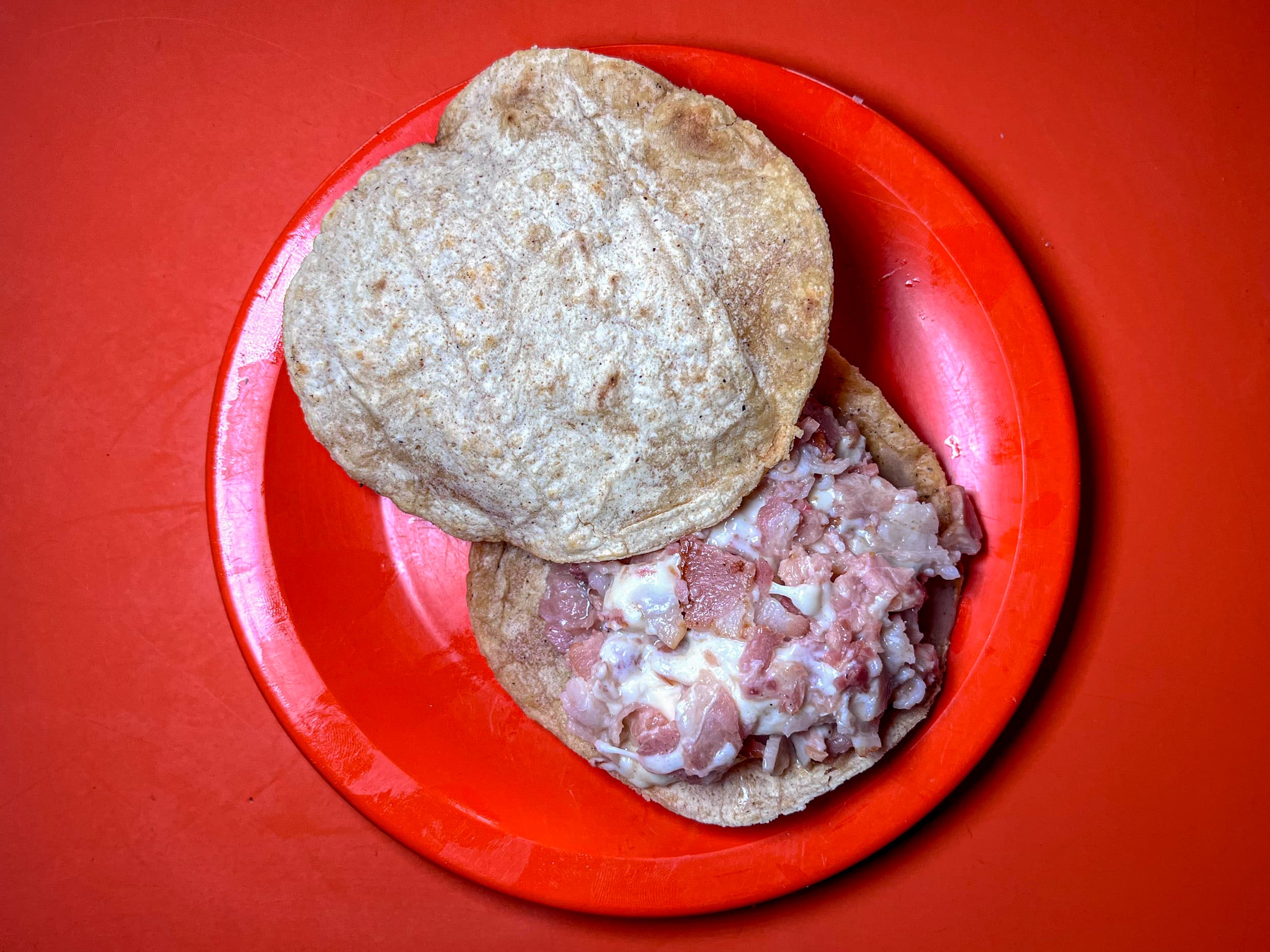 Carbonero Tocino