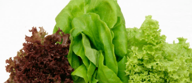 Ensalada de Tres Lechugas Grande