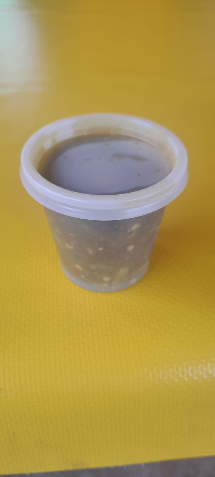 Salsa PIN 1 guacamole