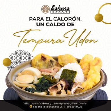 Tempura Udon
