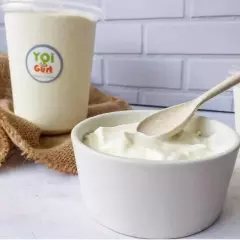 Yogurt Griego 1 L