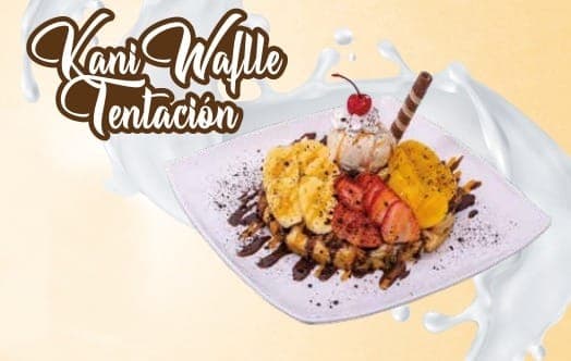 Kani Waffle Tentanción