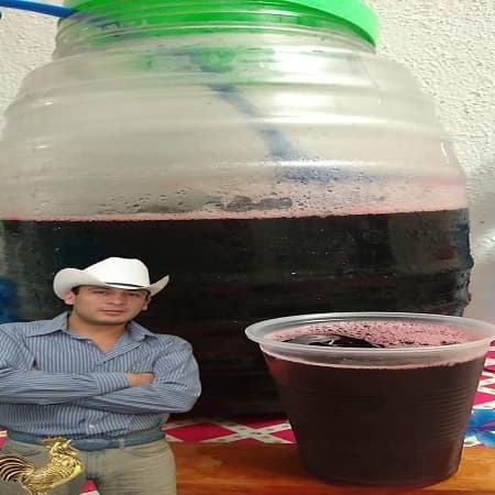 Agua de Jamaica
