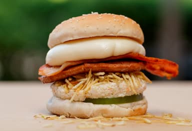 Hamburguesa Especial