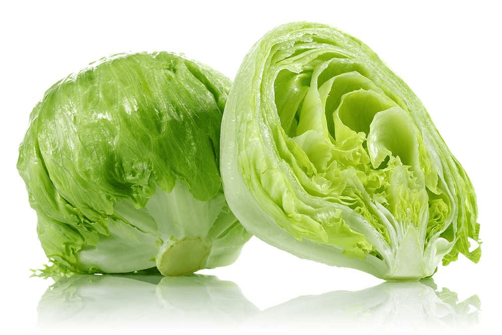 Lechuga