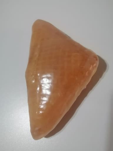EMPANADA CON MANZANA