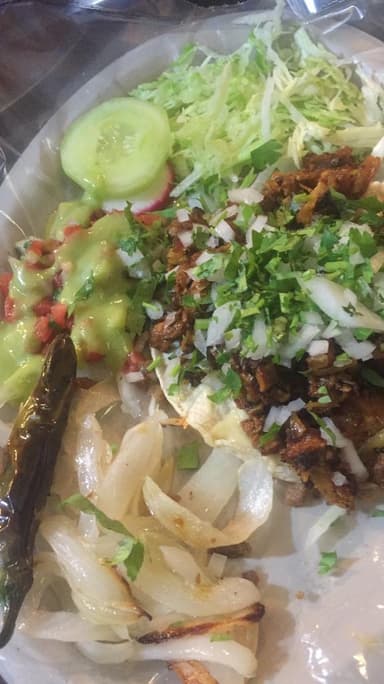 Vampiro de carne asada