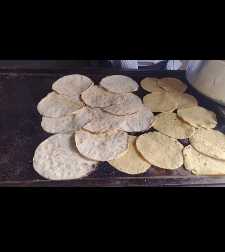 Tortilla de Maiz