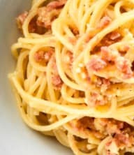 1 Orden de Spaguetti del Día