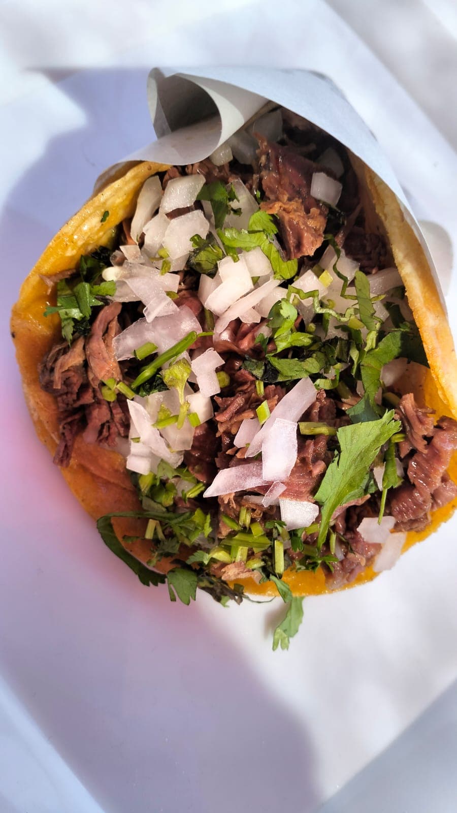 Taco de Birria