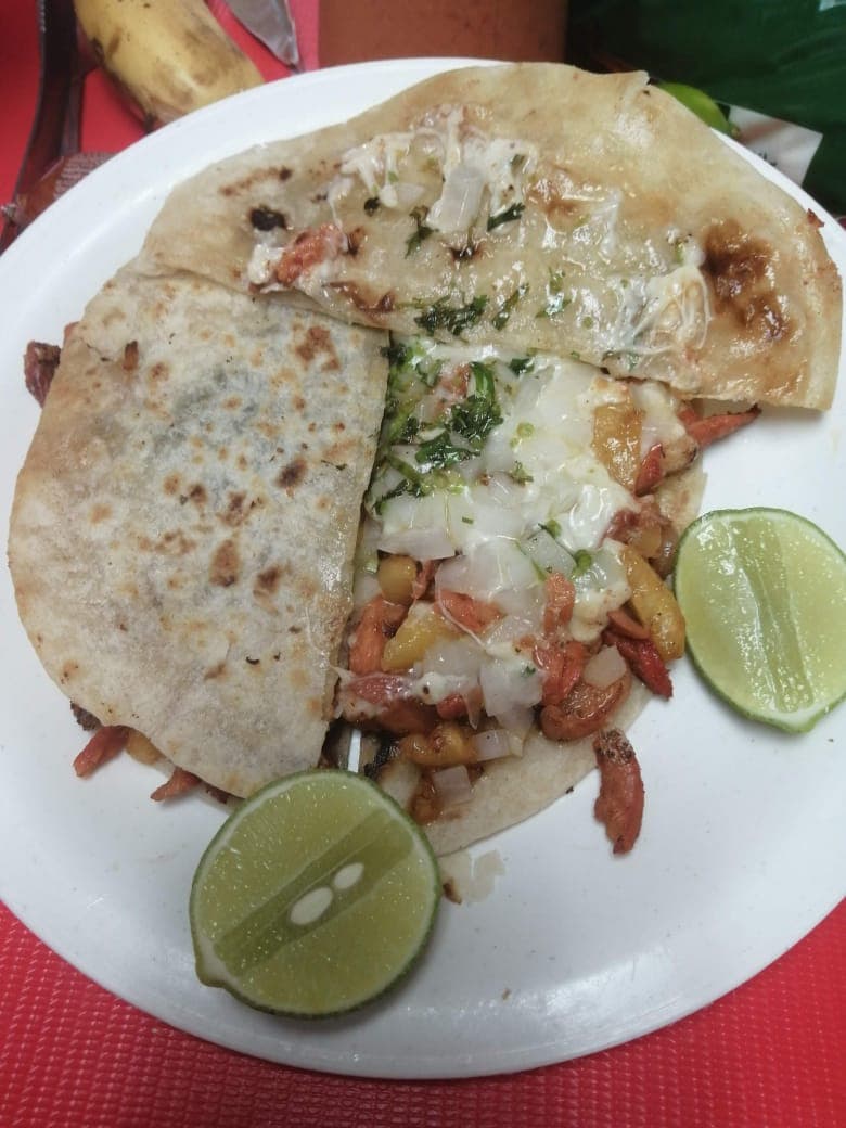 Gringa Carne Adasa