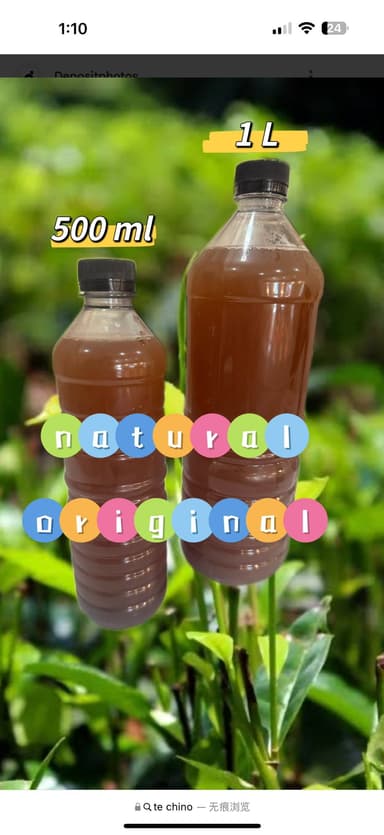 Té Chino 1 LT
