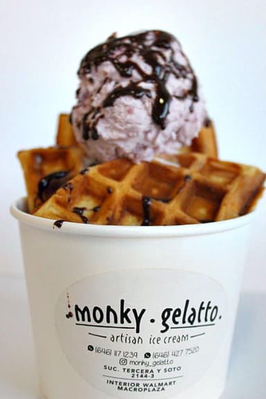WAFFLE ESTILO BELGA