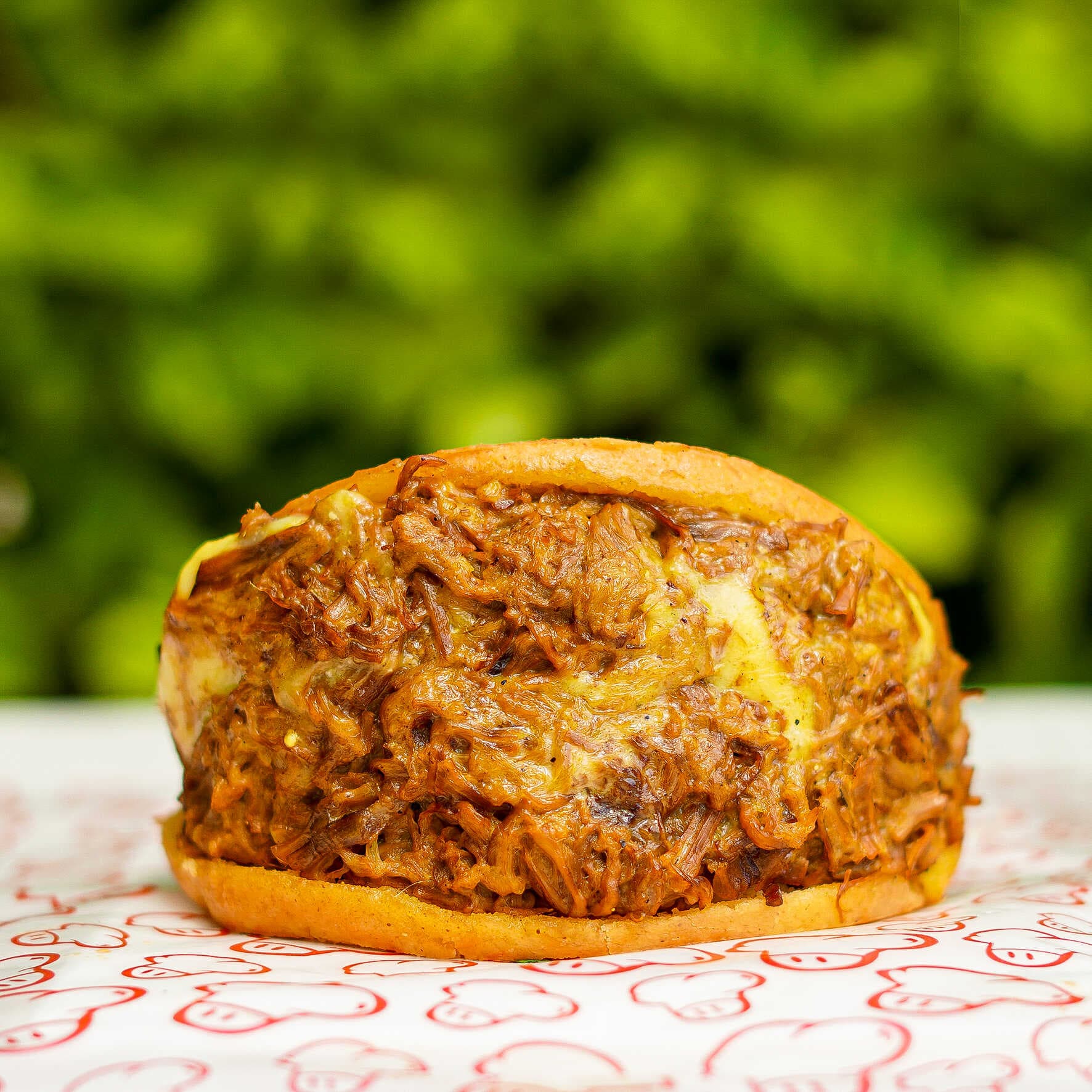 Arepiz Carne Carnívoras Desmechada