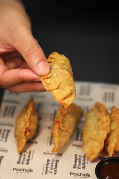 Empanadas de Burger 5 uds