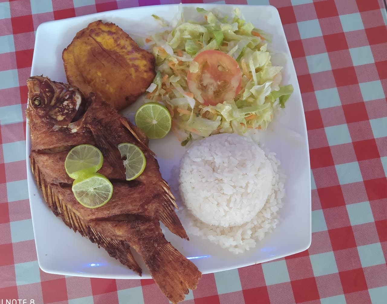 Tilapia
