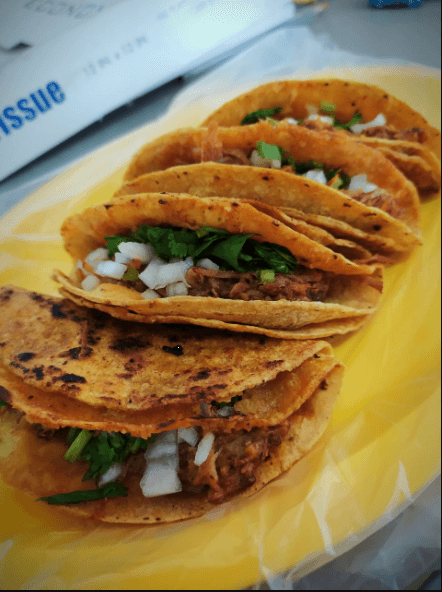 Quesabirria de Maíz Doble Tortilla