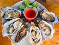 Concha de Mariscos
