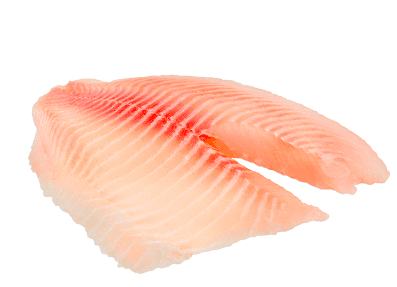 FILETE TILAPIA