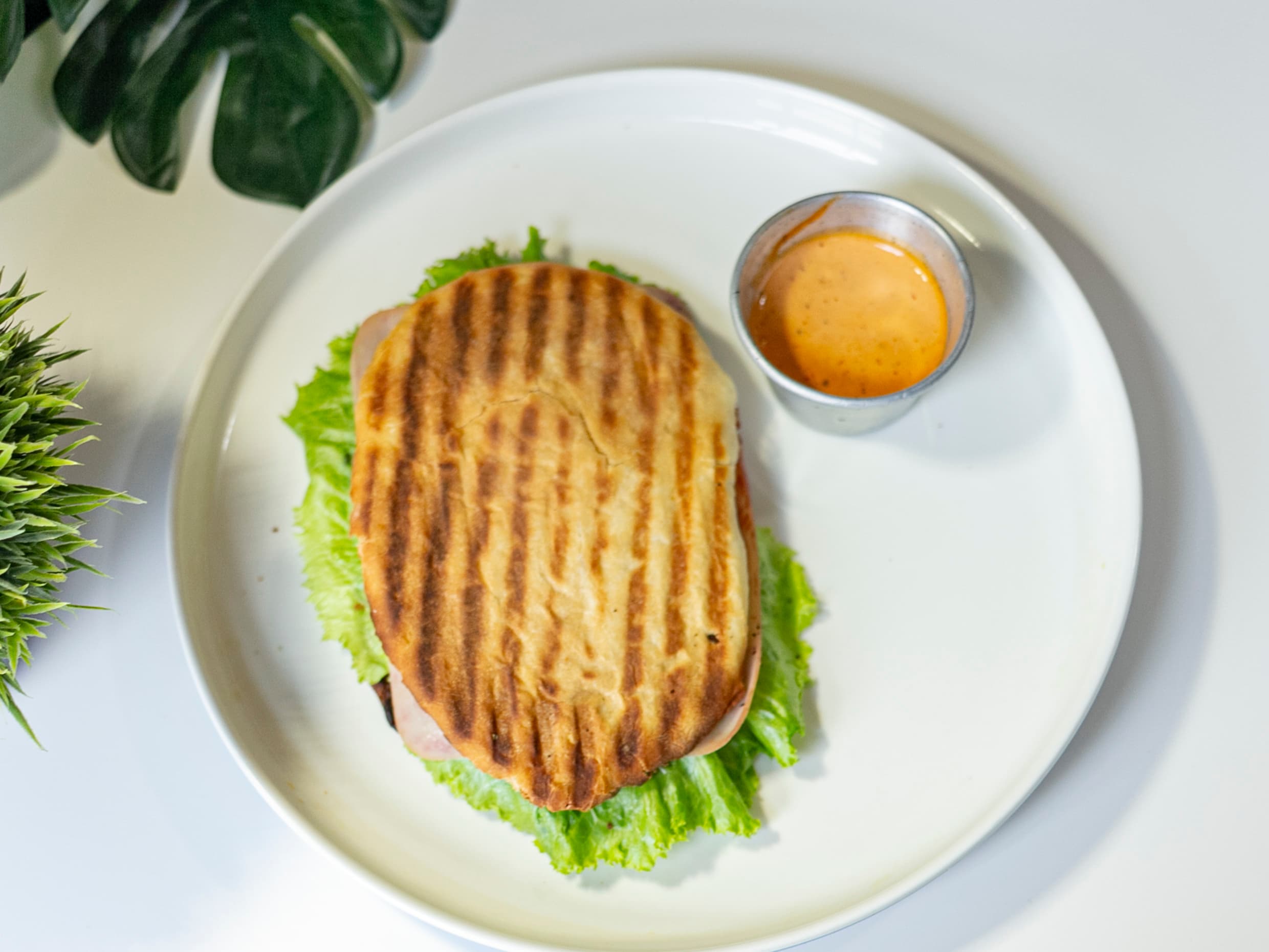 Panini de Pavo