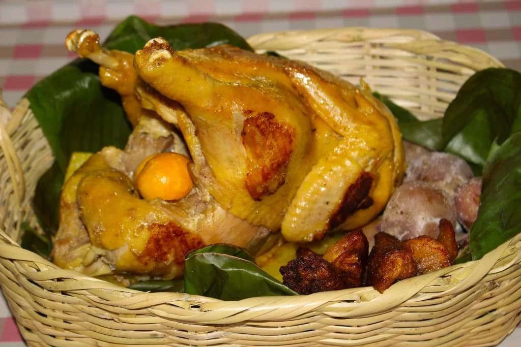 1 gallina