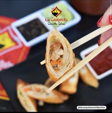 Rollos de pollo con verduras