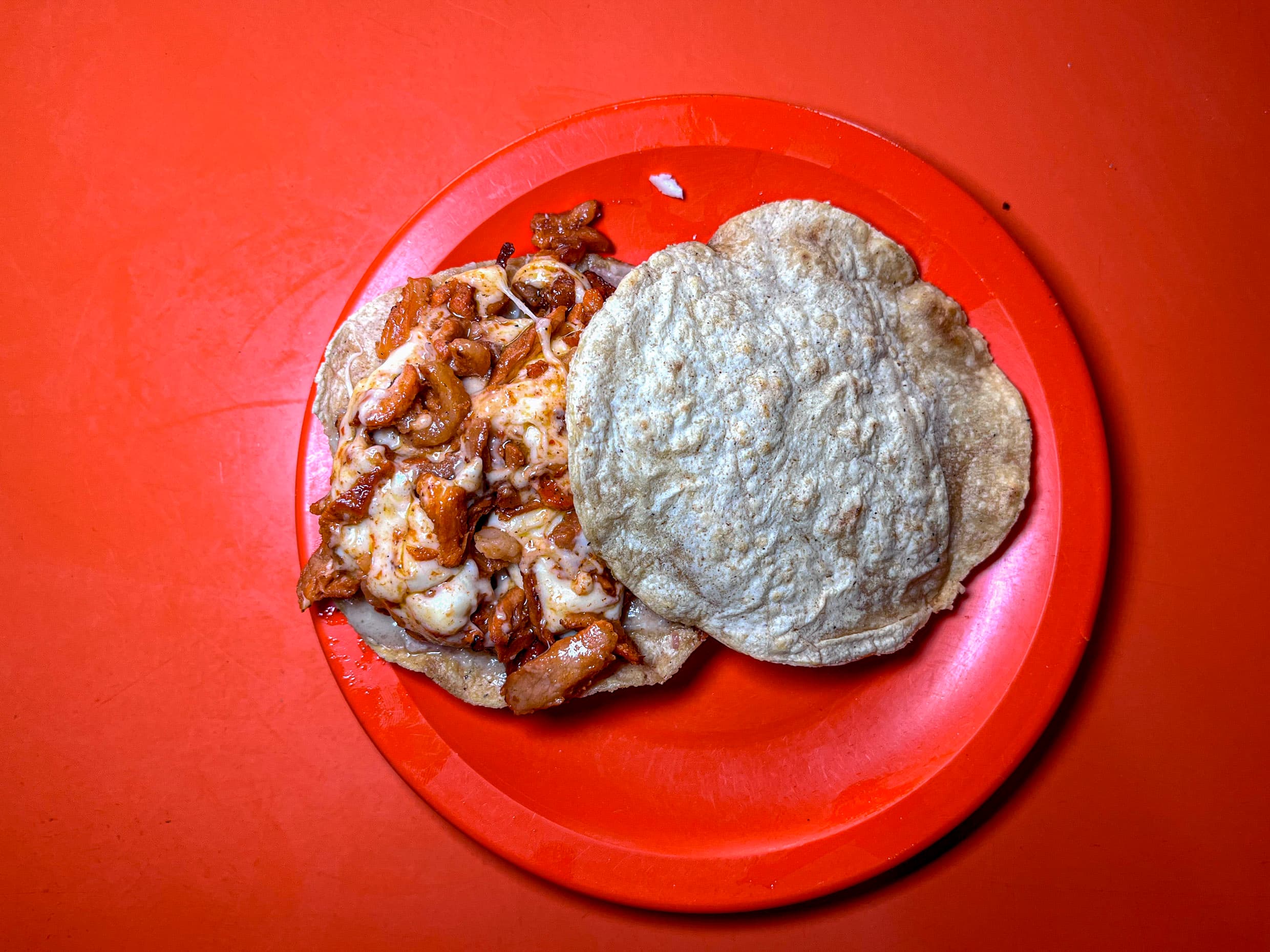 Carbonero Pastor