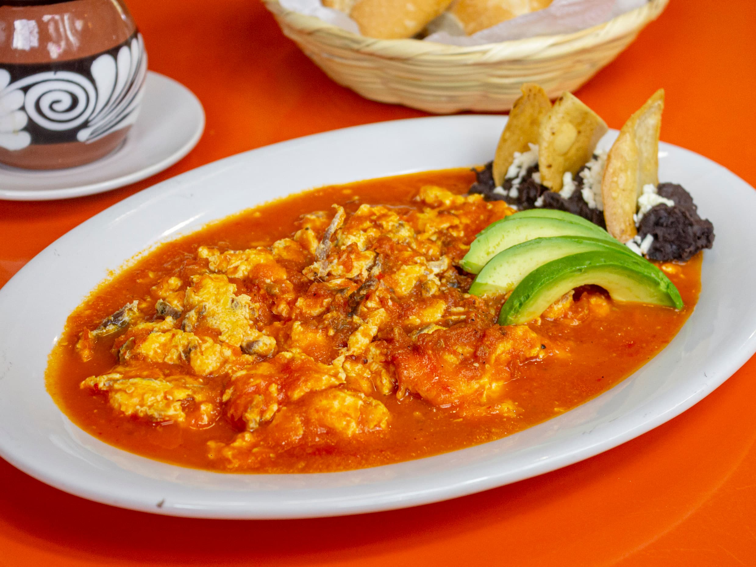 Aporreadillo Michoacano