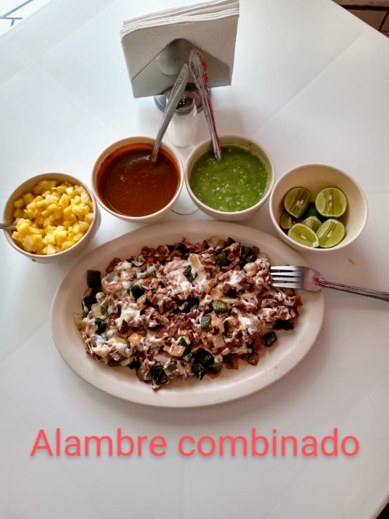 ALAMBRE DE PASTOR