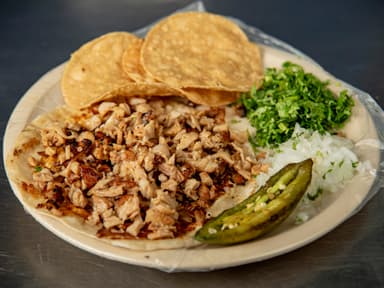 Gringa de Tripa