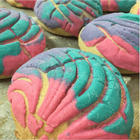 Concha de Unicornio