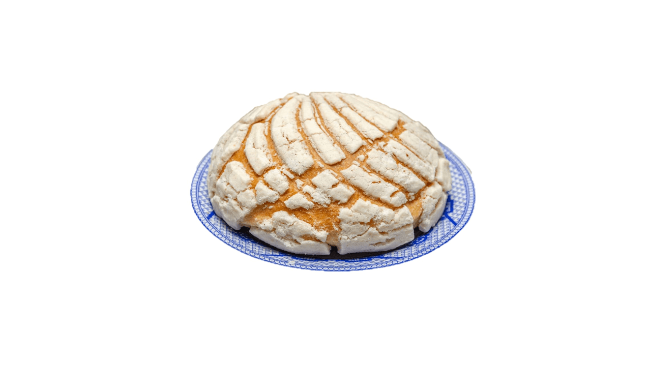 Concha Blanca