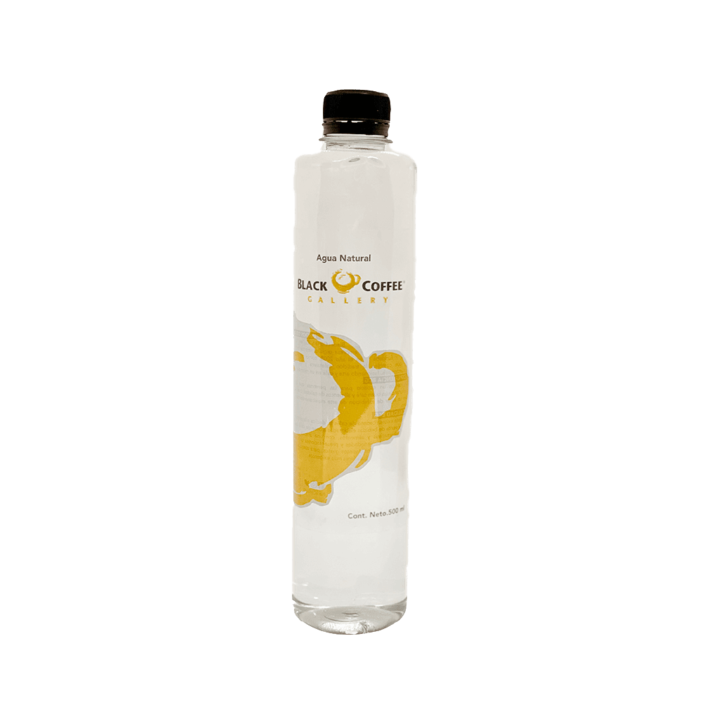 Agua Natural 500ML