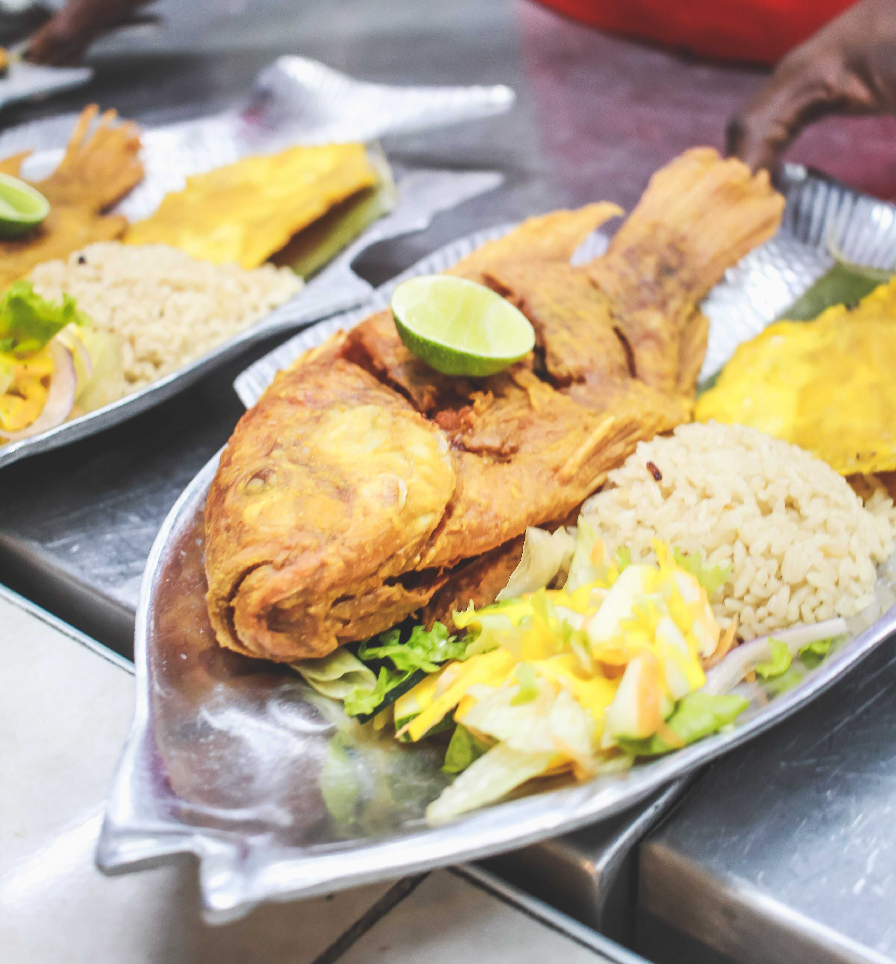 Combo- Tilapia Junior